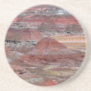 Dessous De Verre En Grès Forêt Petrified 2