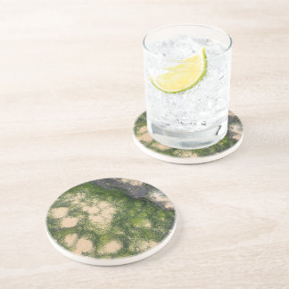 Dessous De Verre En Grès Formation rocheuse de grès avec de la mousse émera