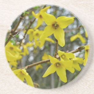 Dessous De Verre En Grès Forsythie au printemps