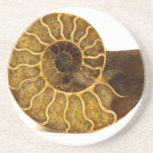 Dessous De Verre En Grès Fossile d'ammonite