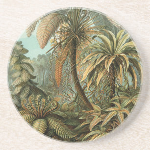 Dessous De Verre En Grès Fougères Palmier Antique Botanique Fougères Art