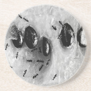 Dessous De Verre En Grès fourmis de surf