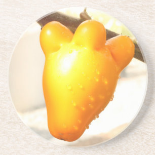 Dessous De Verre En Grès Fox Face Fruit Coaster