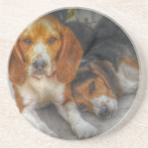 Dessous De Verre En Grès Frère Beagle