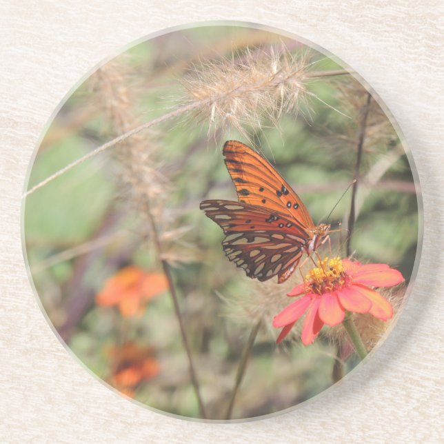 Dessous De Verre En Grès Fritillaire du Golfe sur Zinnia (Devant)