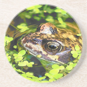 DESSOUS DE VERRE EN GRÈS FROG
