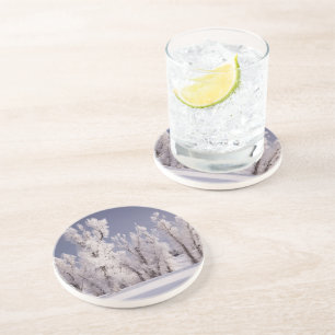 Dessous De Verre En Grès Frost a couvert les arbres et la barrière, le