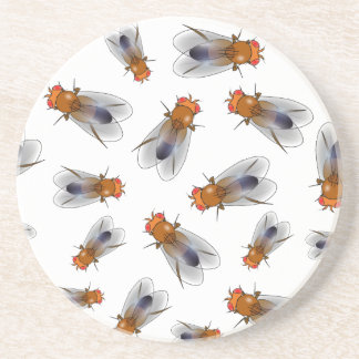 Dessous De Verre En Grès Fruit - Drosophila melanogaster