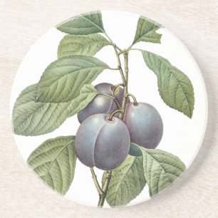 Dessous De Verre En Grès Fruits alimentaires vintage, prunes de jardin viol