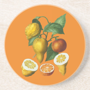 DESSOUS DE VERRE EN GRÈS FRUITS DE CITRÉ