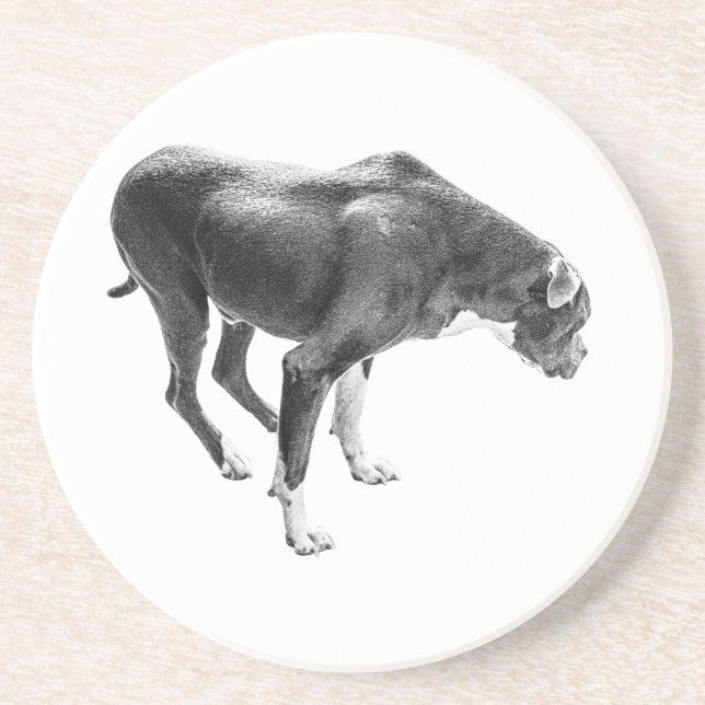 Dessous De Verre En Grès Gardien de table d'automne (Devant)