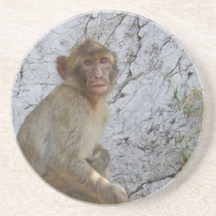 Dessous De Verre En Grès Gibraltar Monkey coaster