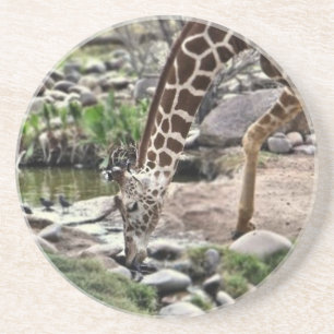 Dessous De Verre En Grès Gracieuse Giraffe