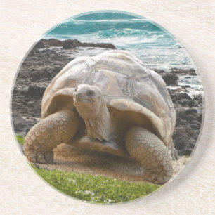 Dessous De Verre En Grès Grande tortue au bord de mer