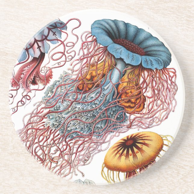 Dessous De Verre En Grès Haeckel (Devant)