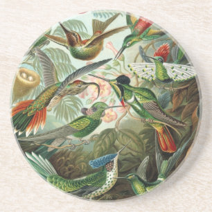 Dessous De Verre En Grès Haeckel Birds