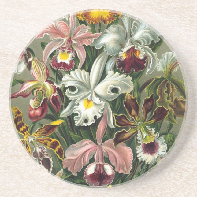 Dessous De Verre En Grès Haeckel Orchids (Devant)
