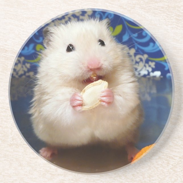 Dessous De Verre En Grès Hamster syrien en mousse Kokolinka (Devant)