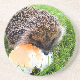 DESSOUS DE VERRE EN GRÈS HÉDGEHOG