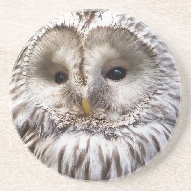 DESSOUS DE VERRE EN GRÈS HIBOU (Devant)