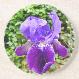 Dessous De Verre En Grès Iris à poils