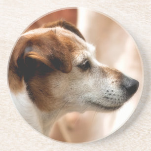 DESSOUS DE VERRE EN GRÈS JACK RUSSELL TERRIER CHIEN
