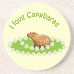Dessous De Verre En Grès J'adore les montagnes russes Capybaras