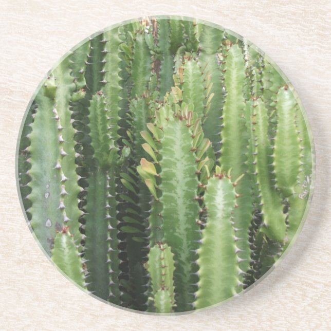 Dessous De Verre En Grès Jardin de cactus (Devant)