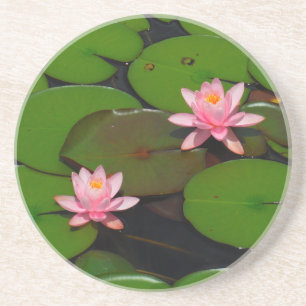 Dessous De Verre En Grès Jardin de fleurs de laine d'eau de lotus rose,