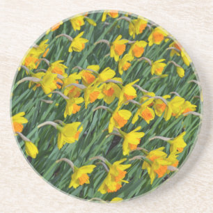 Dessous De Verre En Grès Jardin de la jonquille jaune vif