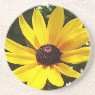 Dessous De Verre En Grès Jaune