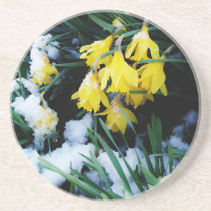 Dessous De Verre En Grès Jaune Daffodils fleurs dans la neige