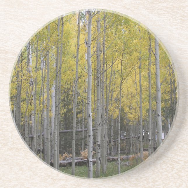 Dessous De Verre En Grès Jaune d'Aspen (Devant)