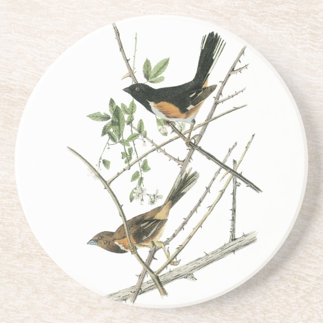 Dessous De Verre En Grès John Audubon Rufous-a dégrossi Towhee (Devant)