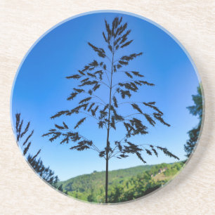 Dessous De Verre En Grès Johnson Grass