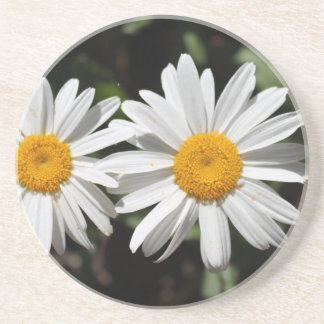 Dessous De Verre En Grès Joli blanc fleur marguerite