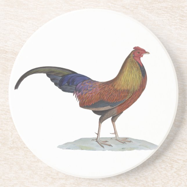 Dessous De Verre En Grès Joli Rooster d'alerte (Devant)