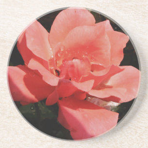 Dessous De Verre En Grès Joli rose rose Peach floral