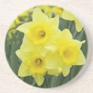Dessous De Verre En Grès Jonquilles RF)