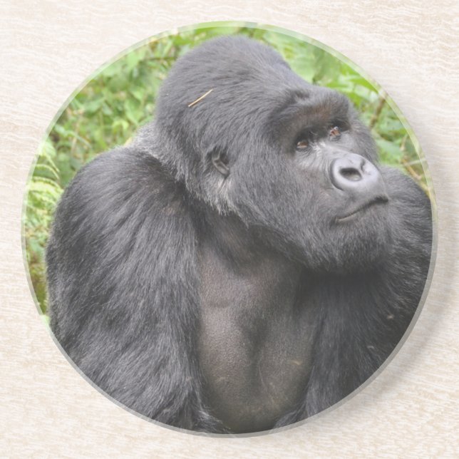 Dessous De Verre En Grès Joyeux singe (Devant)