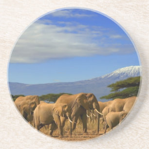 Dessous De Verre En Grès Kilimanjaro et éléphants