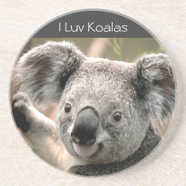 Dessous De Verre En Grès Koala, koala d'I Luv (Devant)