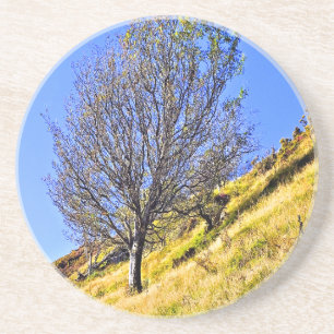DESSOUS DE VERRE EN GRÈS L0NE TREE