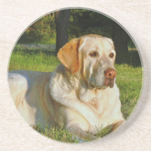 Dessous De Verre En Grès Labrador retriever jaune