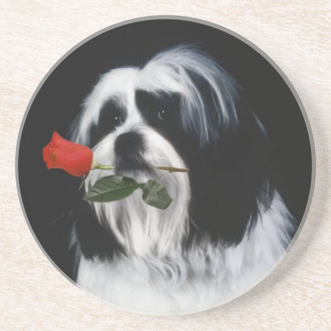Dessous De Verre En Grès Le chien de Shih Tzu (Devant)