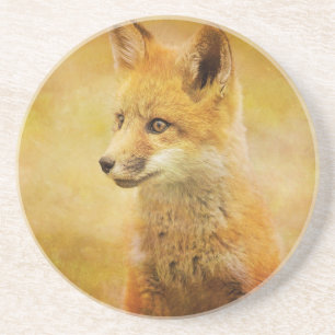 Dessous De Verre En Grès Le Fox dans le bois