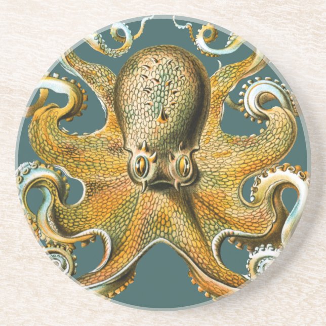 Dessous De Verre En Grès Le poulpe d'Ernst Haeckel (Devant)