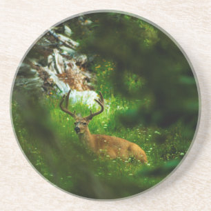 Dessous De Verre En Grès Le Prince Forêt