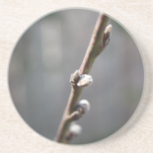 Dessous De Verre En Grès Le printemps arrive
