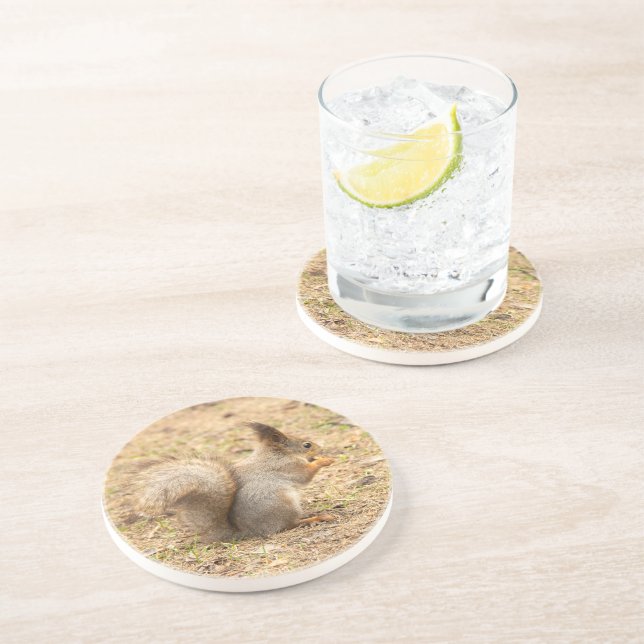Dessous De Verre En Grès L'écureuil mignon mange une photo de noix (Côté)